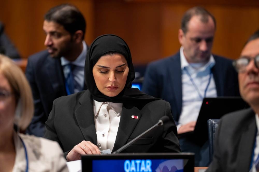 Her excellency in the work of the 61st session of the Social Development Committee at the United Nations
