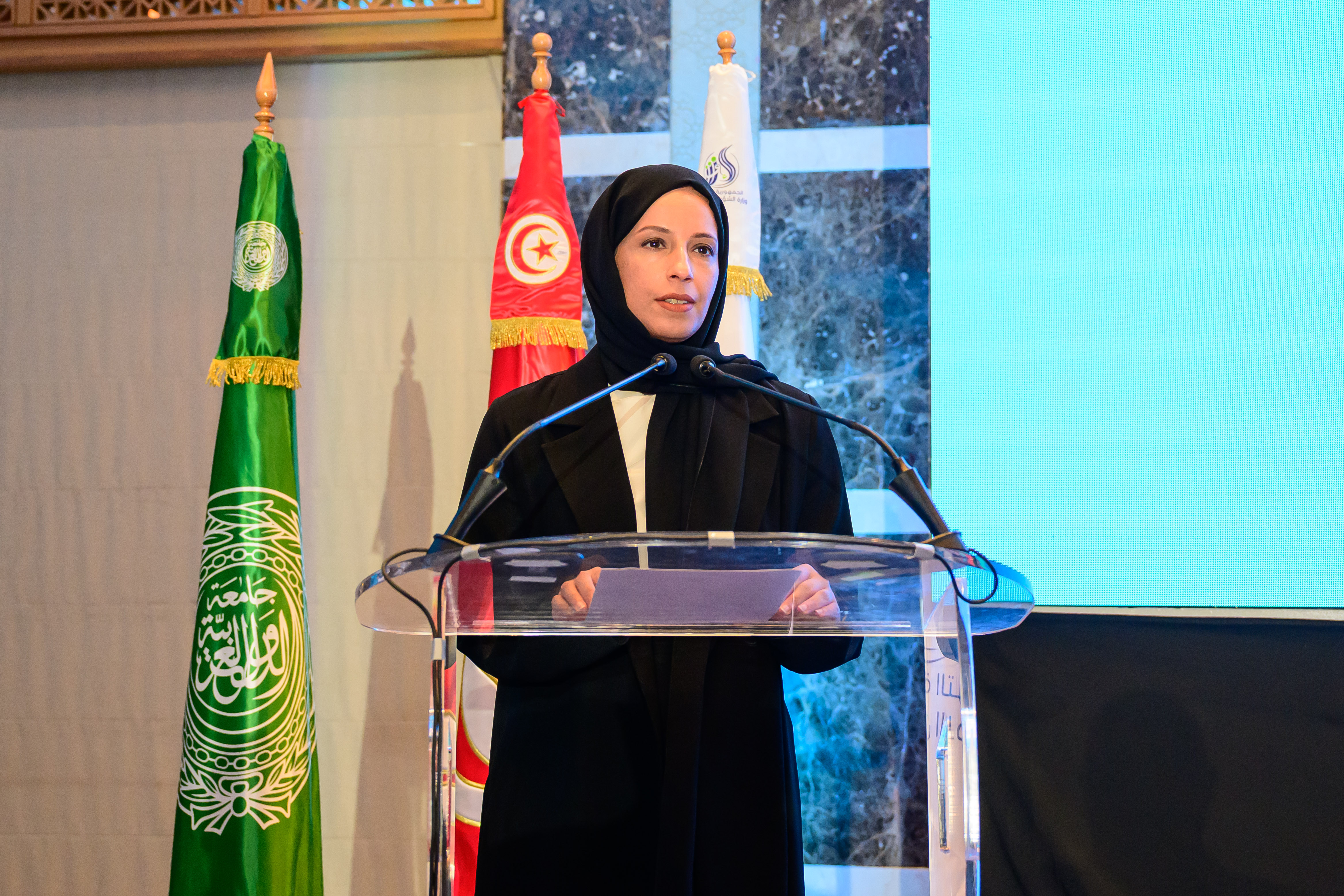 HE Buthaina bint Ali Al Jabr Al Nuaimi participated in the high-level Arab regional meeting in Tunisia to prepare for the Second World Summit for Social Development.